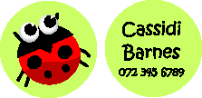 Bag Tag Lady Bug